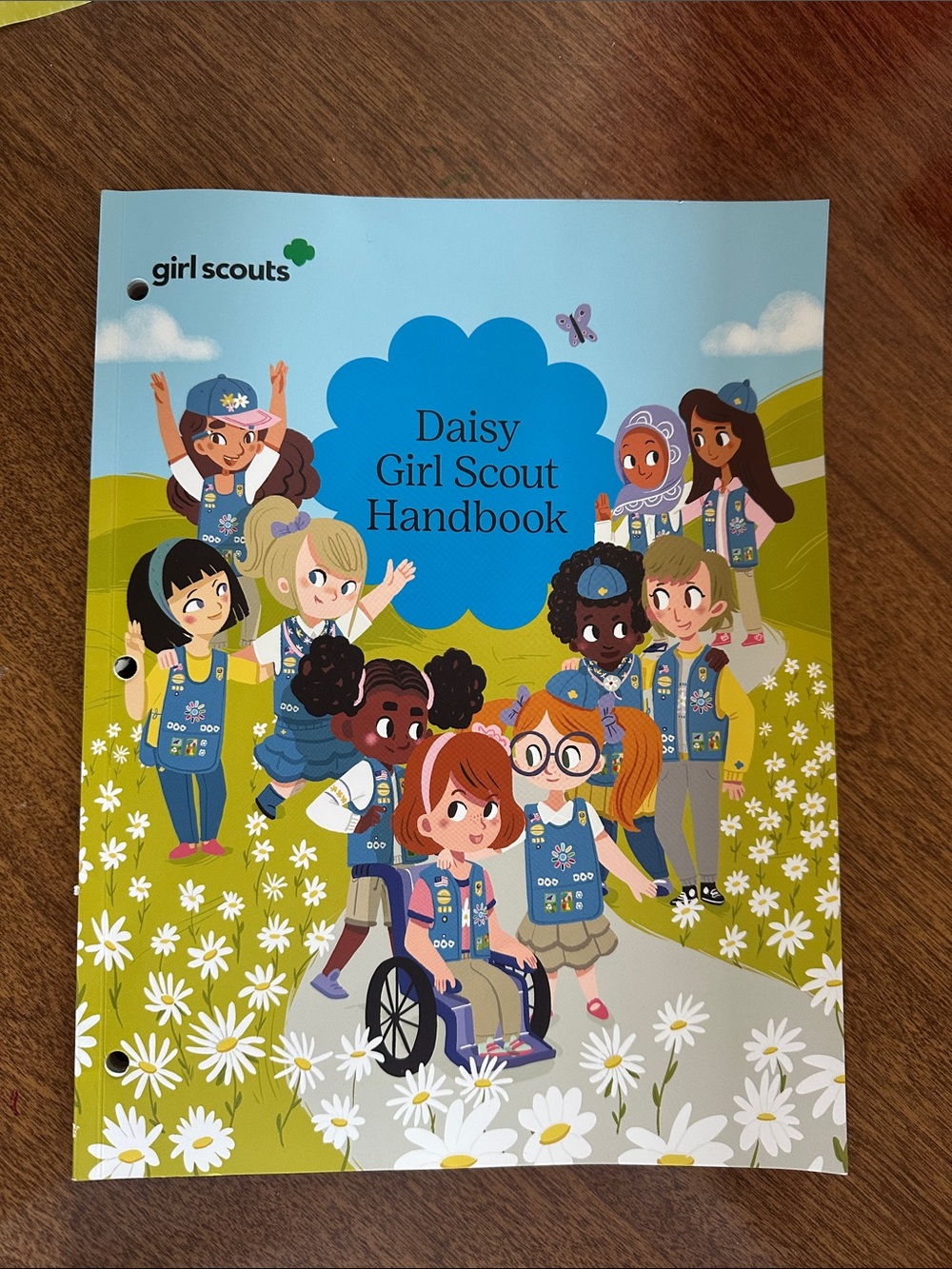 Daisy Handbook - like new, only 2 pages out/used.